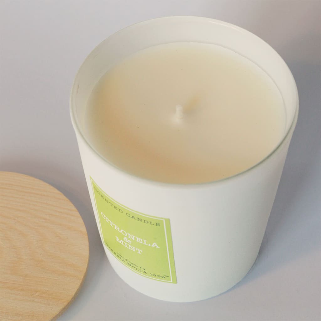 Vela Artesanal Citronela & Mint AntiMosquitos Cereria Molla