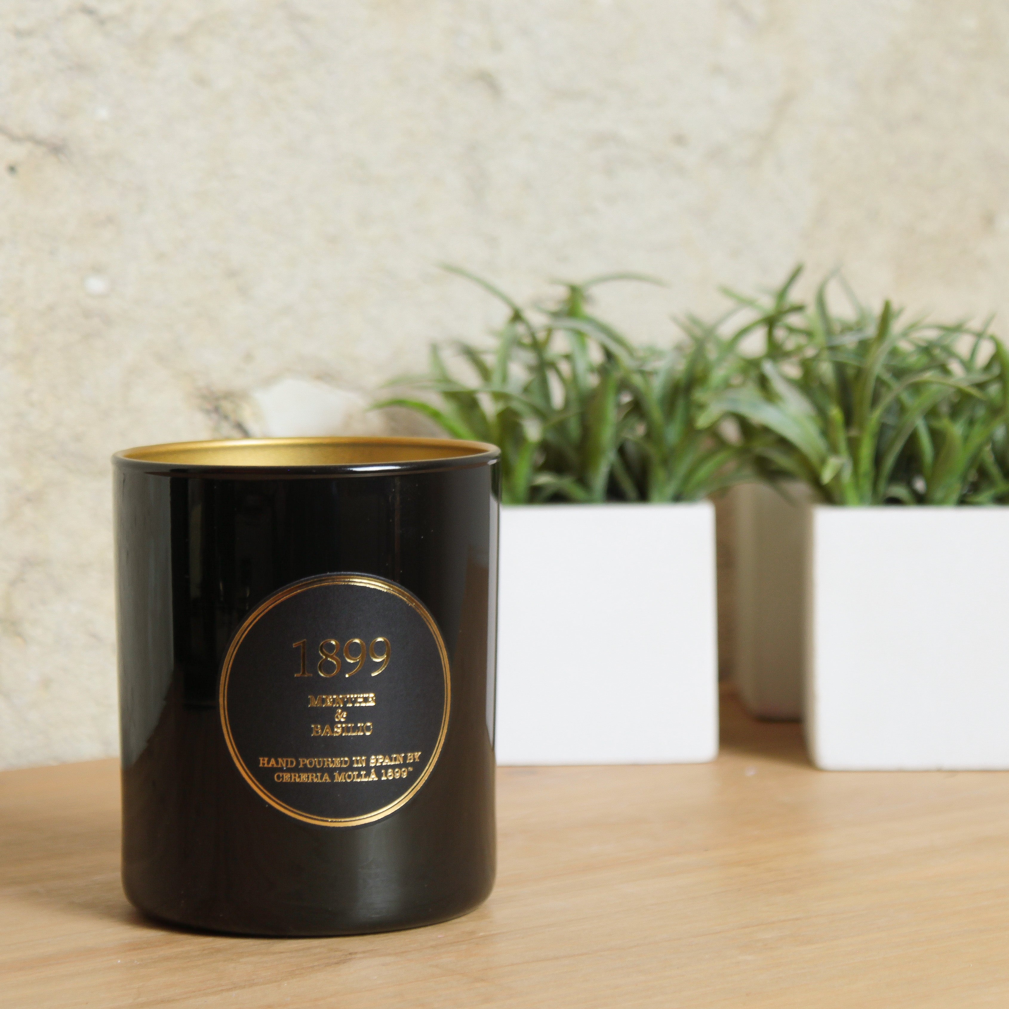 Vela Artesanal Premium Menthe & Basilic Cereria Mollá 230grs