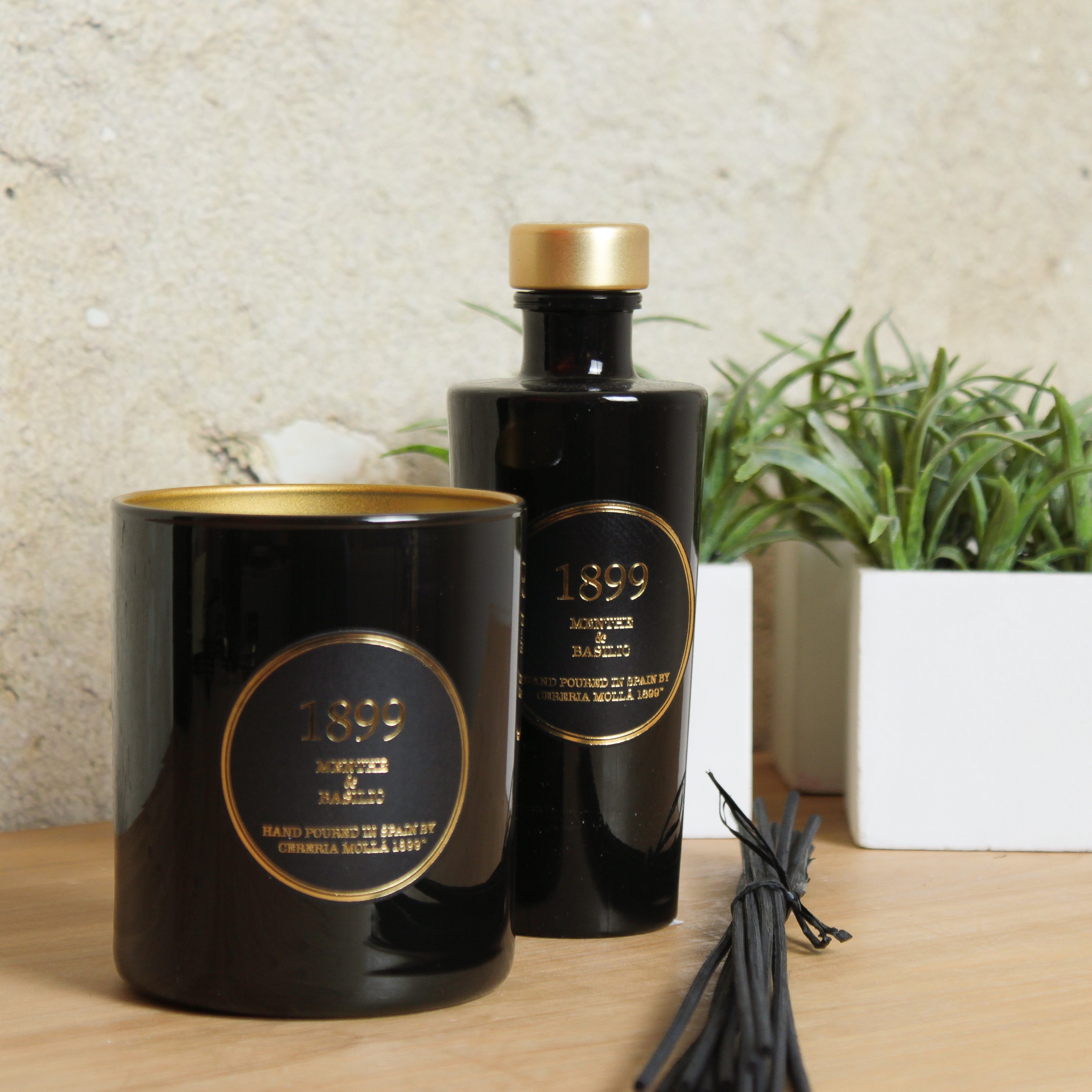 Vela Artesanal Premium Menthe & Basilic Cereria Mollá 230grs