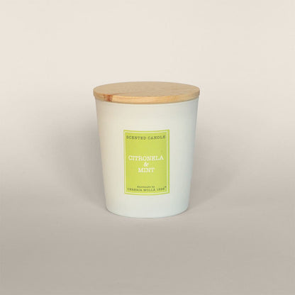 Vela Artesanal Citronela & Mint AntiMosquitos Cereria Molla