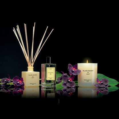 Spray Premium ,body mist, Black Orchid & Lily , Cereria Mollá