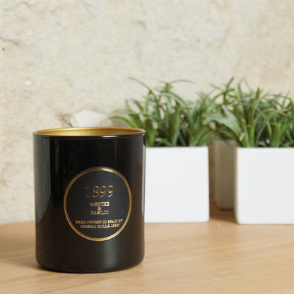 Vela Artesanal Premium Menthe & Basilic  Cereria Mollá 230grs